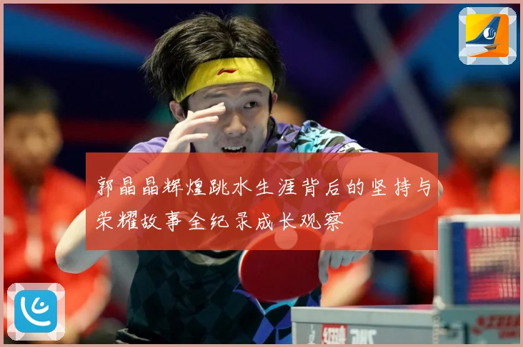 郭晶晶辉煌跳水生涯背后的坚持与荣耀故事全纪录成长观察