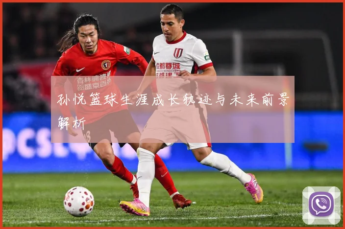 孙悦篮球生涯成长轨迹与未来前景解析