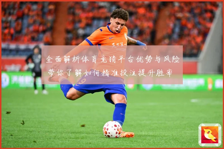 全面解析体育竞猜平台优势与风险 带你了解如何精准投注提升胜率