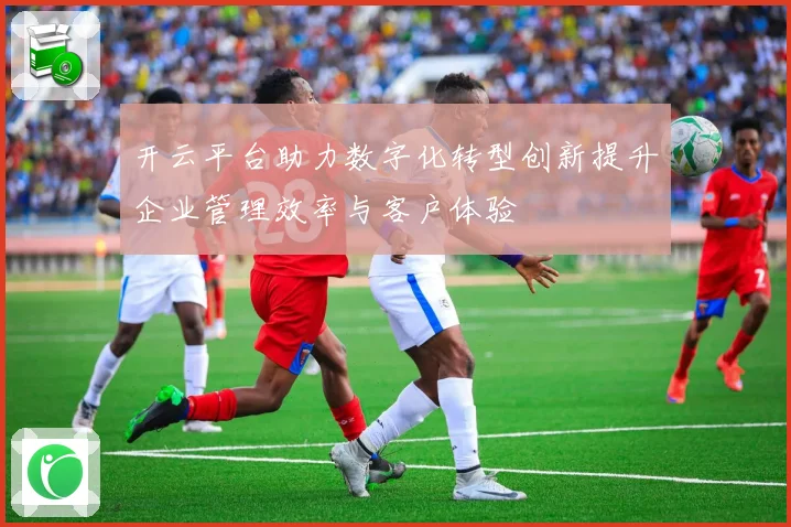 开云平台助力数字化转型创新提升企业管理效率与客户体验