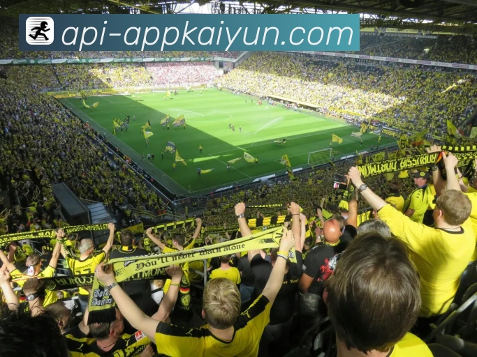 开云平台展示图