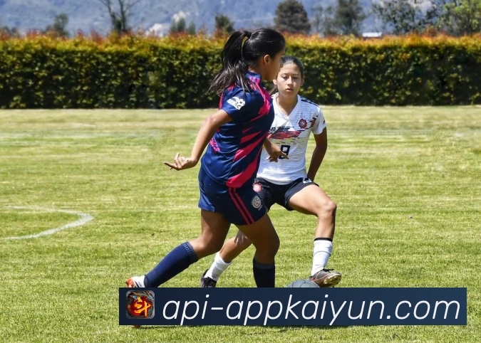 开云APP使用安全吗全面解析及风险防范指南